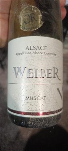 Vin Blanc sec Muscat Weiber Non millésimé France Alsace Vin de France