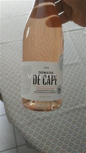 South West Côtes de Gascogne Domaine Cape 2024