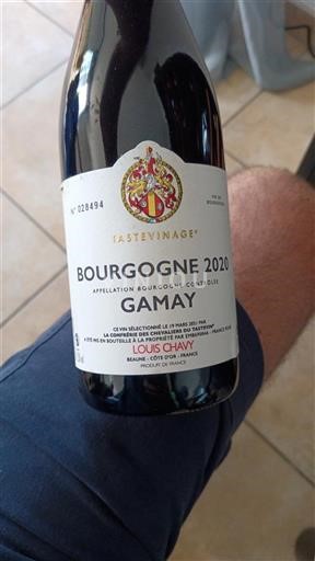 Bourgogne Louis Chavy Gamay 2020