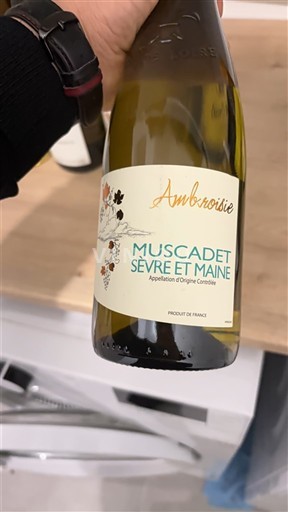 Dolina Loare Muscadet-sèvre-et-maine Ambroisie 2024