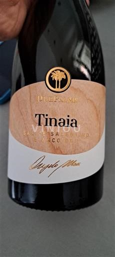 Puglia Salice Salentino Due Palme Tinaia 2023