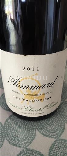 Burgundy Pommard Domaine Chantal Lescure Les Vaumuriens 2011
