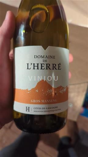Sud-Ovest Côtes de Gascogne Domaine L'Herre Gros Manseng 2023