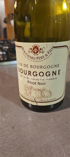 Burgundy Bouchard Père & Fils Non-Vintage