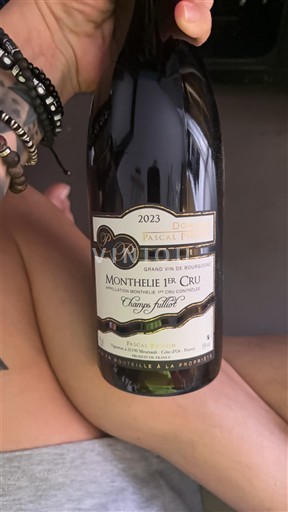 Bourgogne Monthélie Premier Cru Domaine Pascal Pouhin Champs Fulliot 2023