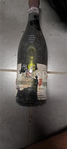 Thung lũng Rhône Châteauneuf-du-pape Domaine Des Relagnes 1983