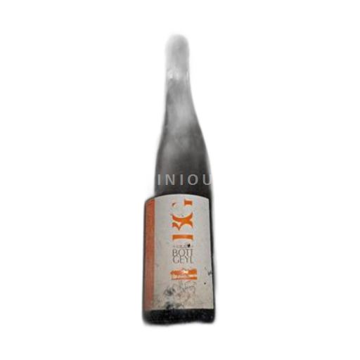 Alsasko Ryzlink Domaine Bott-Geyl 2010