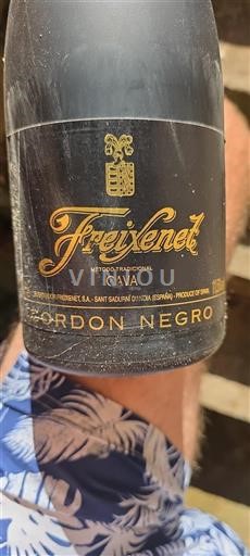 Catalogna Cava Freixenet Cordon Negro Senza annata