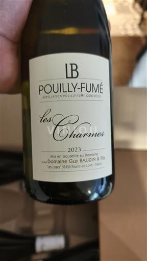 Dolina Loare Pouilly-fumé Domaine Guy Baudin & Fils Les Charmes 2023