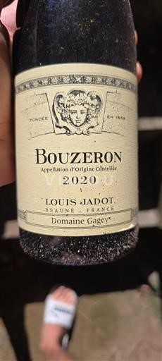 Burgundija Bouzeron Domaine Gagey 2020