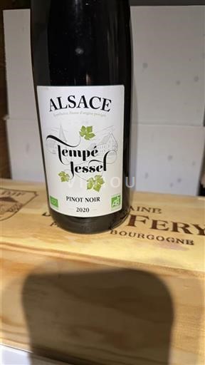 Alsace Tempé Jussel 2020