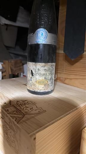Alsace Grand Cru Laugel 2003