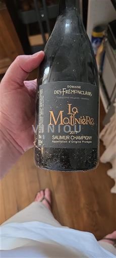 Valle della Loira Saumur-Champigny Domaine Des Frémonclairs La Motinière 2017