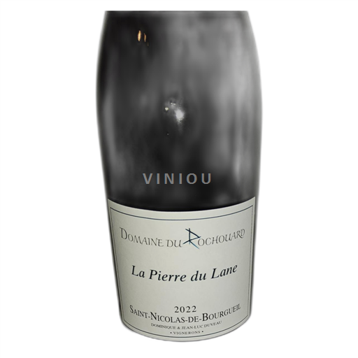 Loire Valley Saint-Nicolas-De-Bourgueil Domaine Rochouard La Pierre du Lane 2022