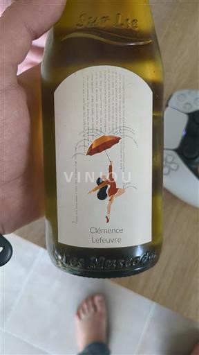 Vallée de la Loire Muscadet-sèvre-et-maine Clémence Lefeuvre 2020