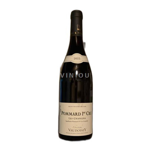 Borgogna Pommard Premier Cru Christophe Vaudoisey Les Chanlins 2023
