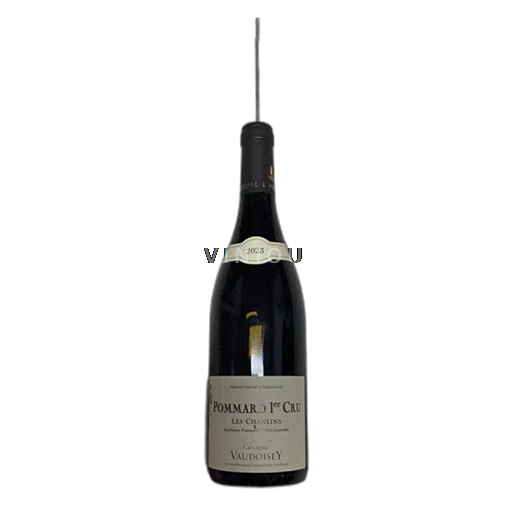 Borgoña Pommard Premier Cru Christophe Vaudoisey Les Chanlins 2023