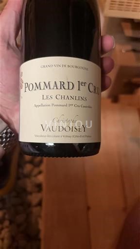 Burgundi Pommard Premier Cru Christophe Vaudoisey Les Chanlins 2023