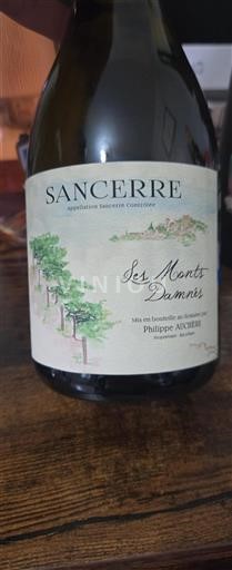 Loirevallei Sancerre Philippe Auchère Les Monts Damnés 2023