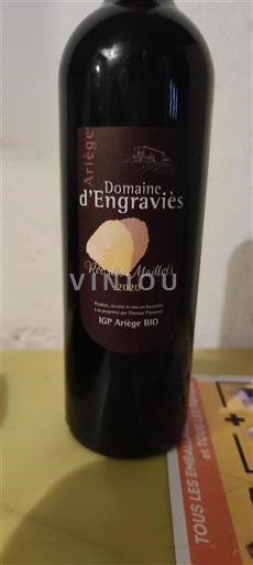 Sudoeste Ariège Domaine Engravies Roc des Maillols 2020