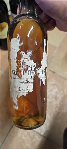 Bordeaux Premières-côtes-de-bordeaux Château Terre-Fort 1974