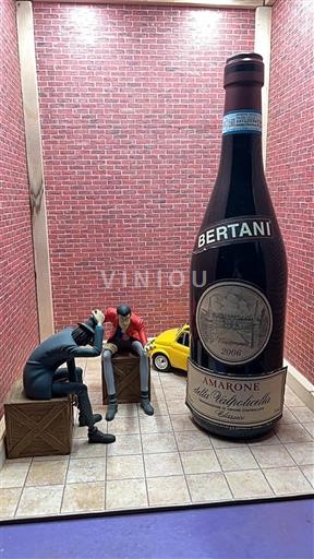 Veneto Amarone della Valpolicella Bertani 2006