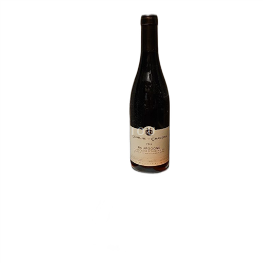 Burgundija Hautes Côtes de Nuits Domaine Des Chambris 2016
