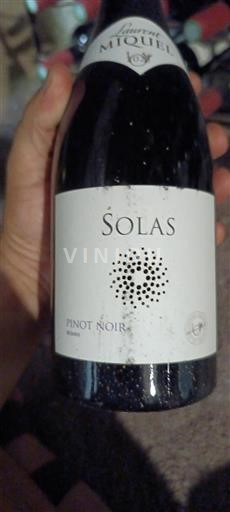 Languedoc Ospecificerad Laurent Miquel Solas Icke årgångsbetecknad