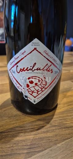 Loiredalen Ospecificerad Domaine Mardon Pionnière Coccinulibis Icke årgångsbetecknad