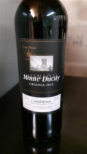 Aragonien Cariñena Monte Ducay Crianza 2013