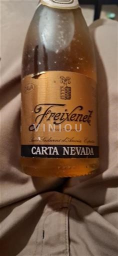 Catalogna Cava Freixenet Carta Nevada Senza annata