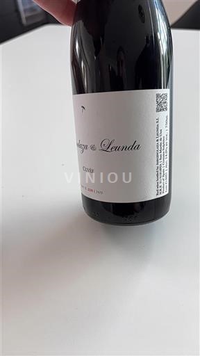 Navarra Ni doloceno Aseginolaza & Leunda 2021