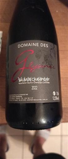 Valle del Loira Saumur-Champigny Domaine Des Glycines 2022