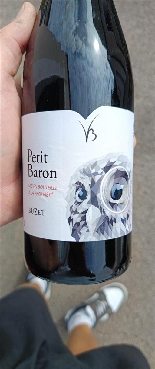 Sudoeste Buzet Vignerons de Buzet Petit Baron 2022