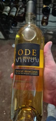 Languedoque Muscat de Frontignan Ode au Muscat Não Sazonado