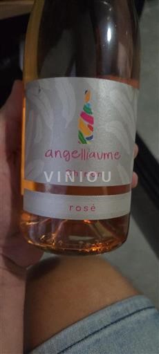 Loire-dalen Chinon Angelliaume Ikke årgangsbestemt