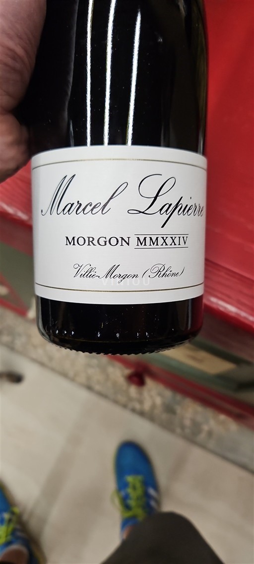 Beaujolais Morgon Marcel Lapierre 2024