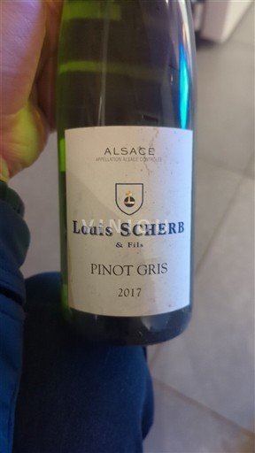 Elsass Grand Cru Louis Scherb & Fils Pinot Gris 2017