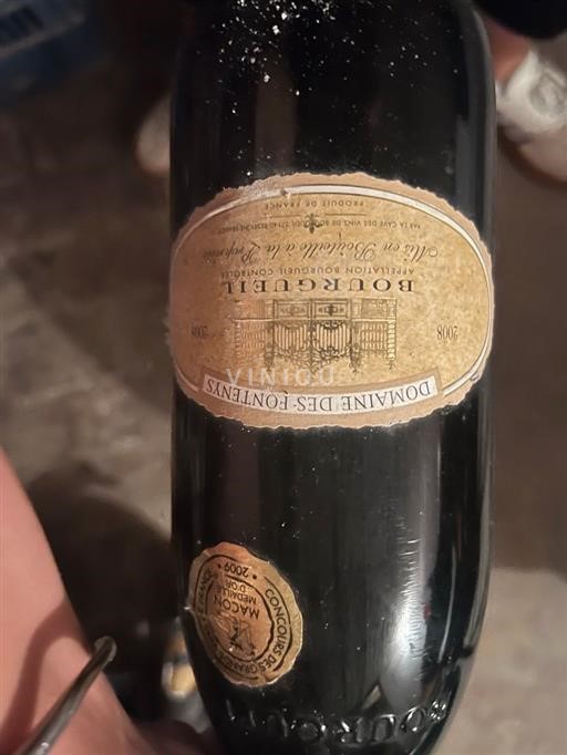Valle del Loira Bourgueil Domaine Des Fontenys 2008