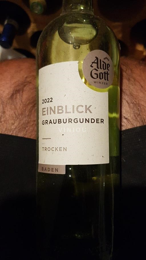 Baden No especificado Alde Gott Einblick 2022