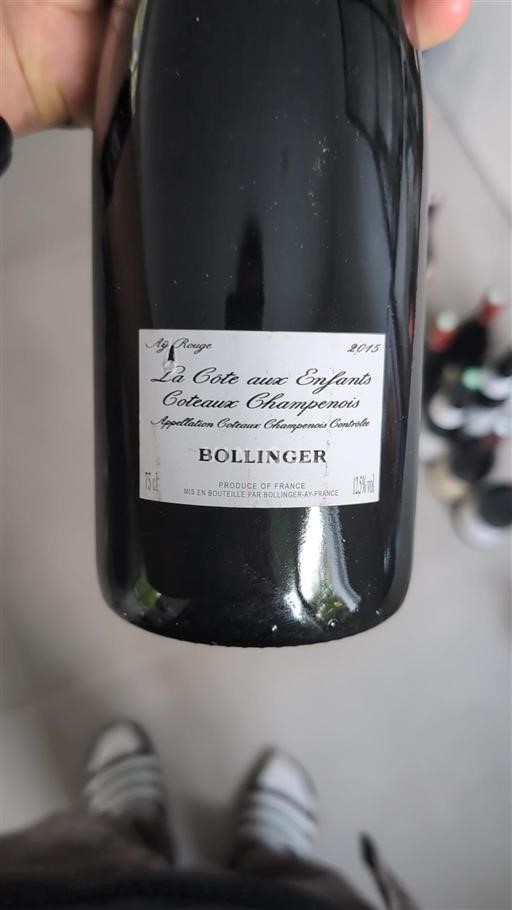 Samppanja Coteaux Champenois Bollinger La Côte aux Enfants 2015
