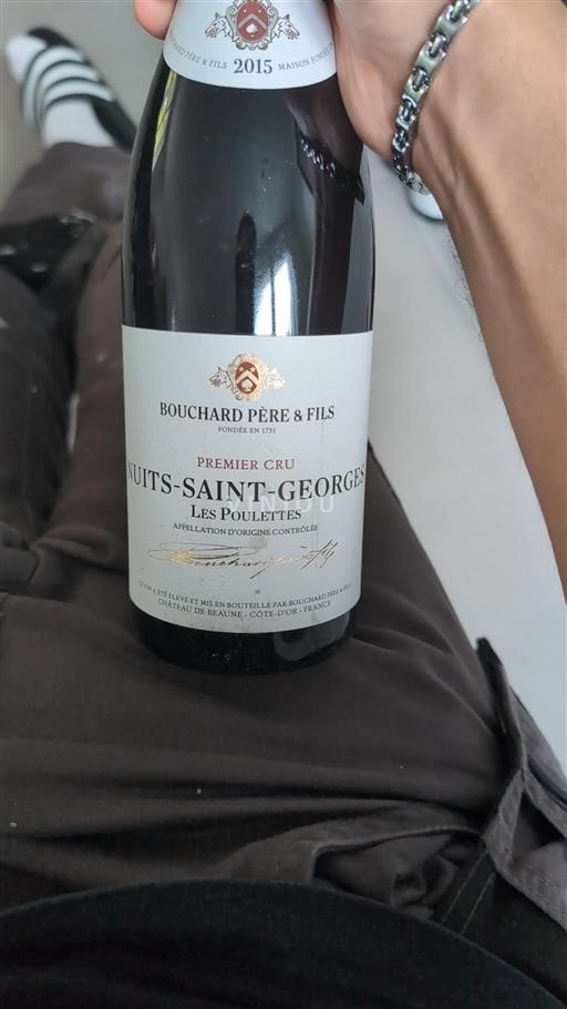 Bourgogne Nuits-Saint-Georges Premier Cru Domaine Bouchard Père & Fils Les Poulettes 2015