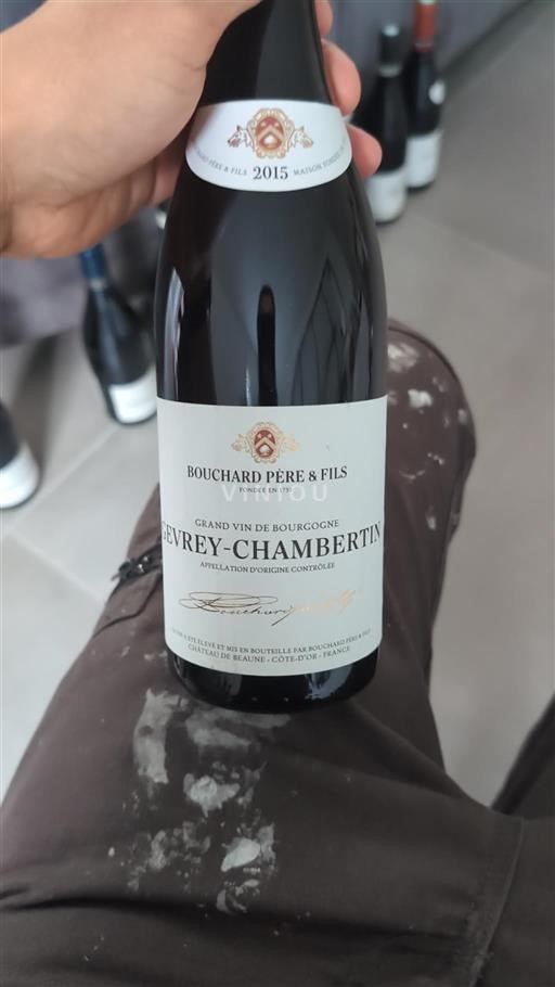 Bourgogne Gevrey-chambertin Domaine Bouchard Père & Fils 2015