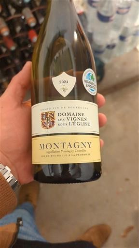 Borgogna Montagny Domaine Les Vignes sous l'Église 2024