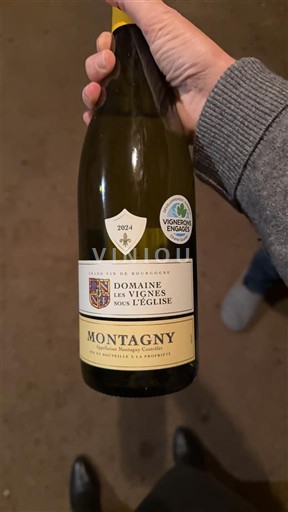 Borgogna Montagny Domaine Les Vignes sous l'Église 2024