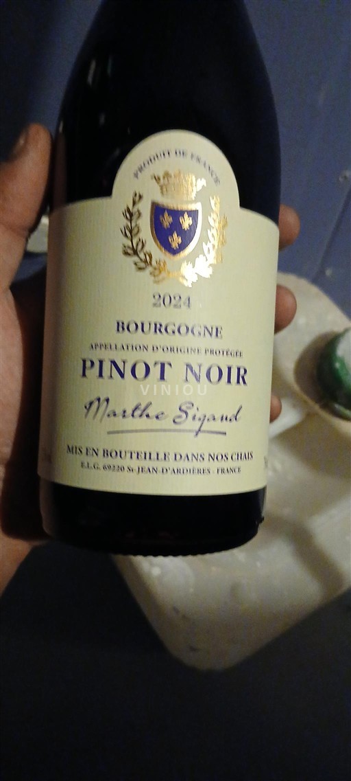 Burgundy Marthe Sigand 2024