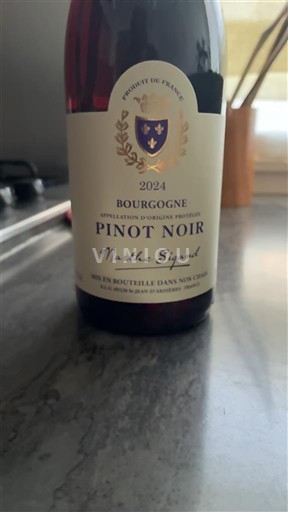 Burgundi Bourgogne Marthe Sigand 2024