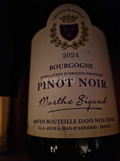 Bourgondië Bourgogne Marthe Sigand 2024