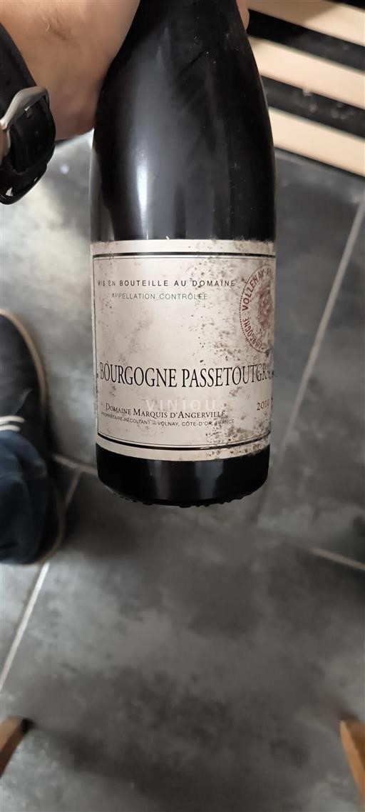 Bourgogne Bourgogne-passetoutgrain Domaine Marquis Angerville 2019