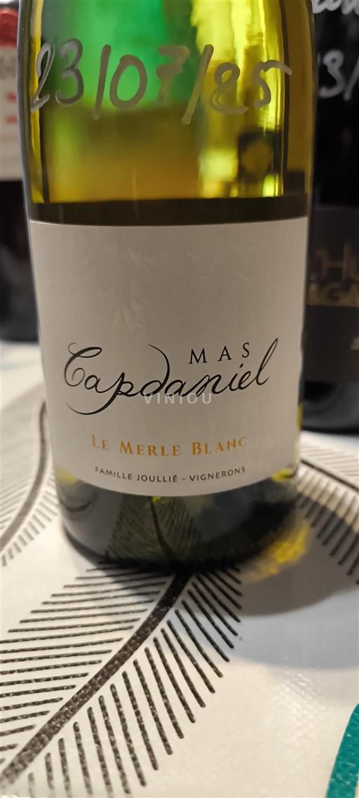 Languedoc Ikke specificeret Mas Capdaniel Le Merle Blanc Ikke årgangsbestemt
